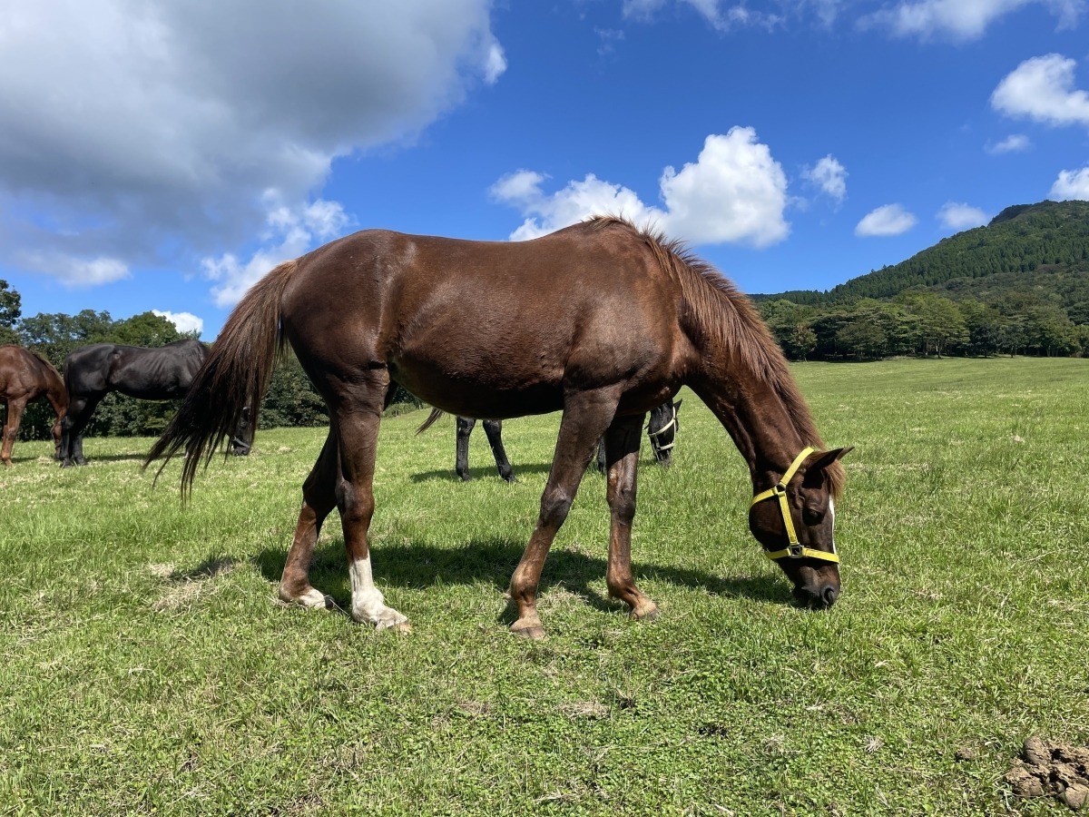 76fa37cacfa79aa8594b4ce236c76042-1761812477.jpg 76fa37cacfa79aa8594b4ce236c76042-1761812477.jpg